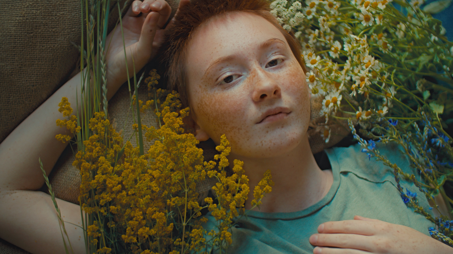 ringelschwandtner stefan