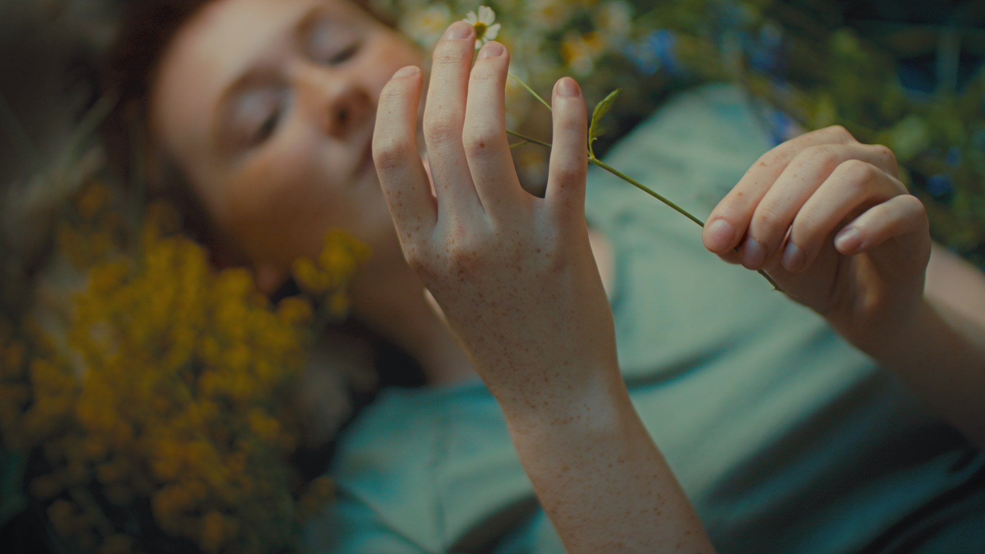 ringelschwandtner stefan