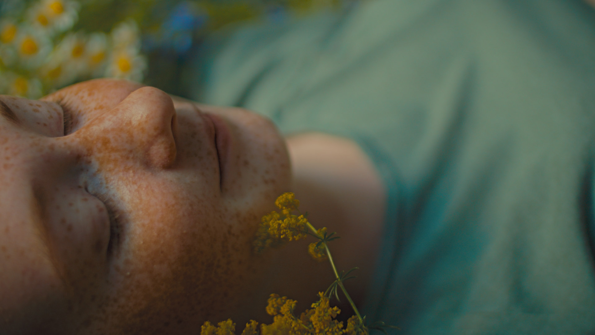 ringelschwandtner stefan