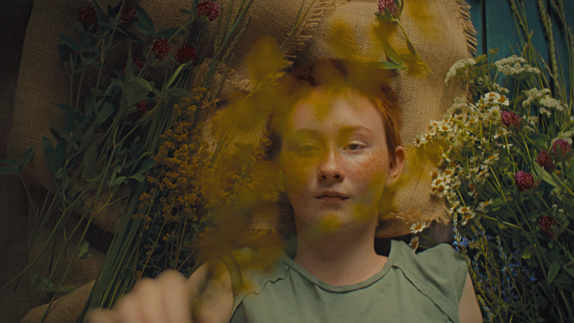 ringelschwandtner stefan