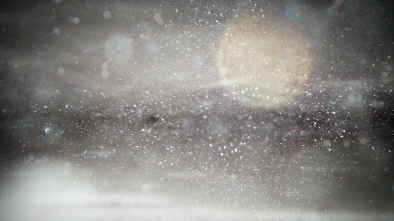 ringelschwandtner stefan