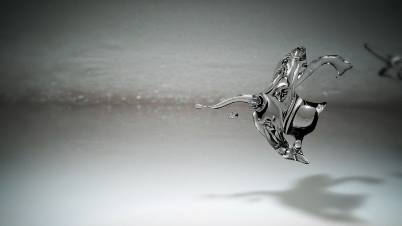 ringelschwandtner stefan