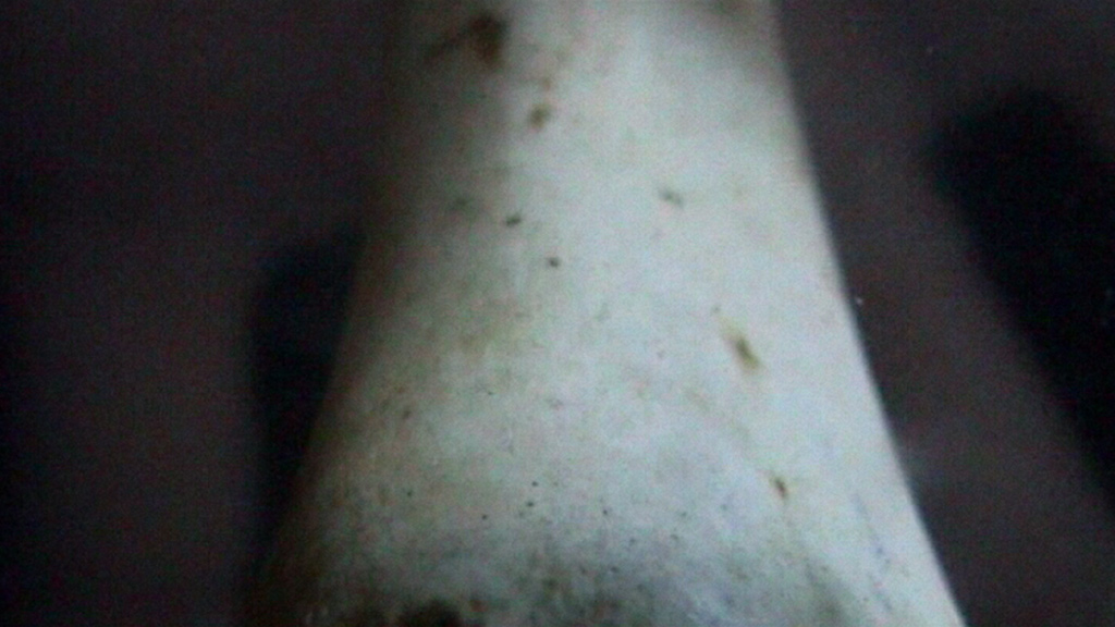 ringelschwandtner stefan