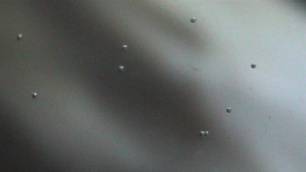 ringelschwandtner stefan