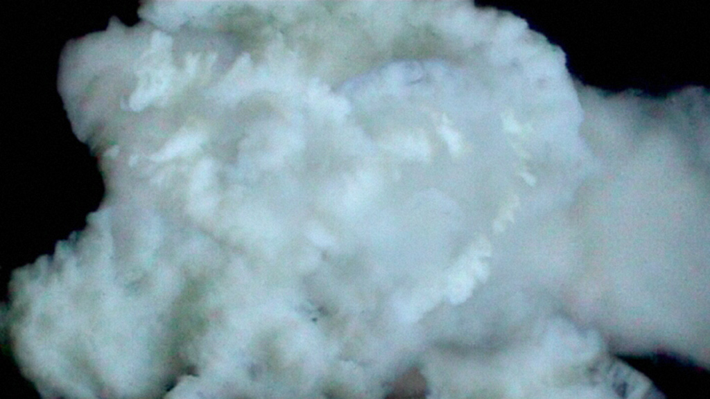 ringelschwandtner stefan