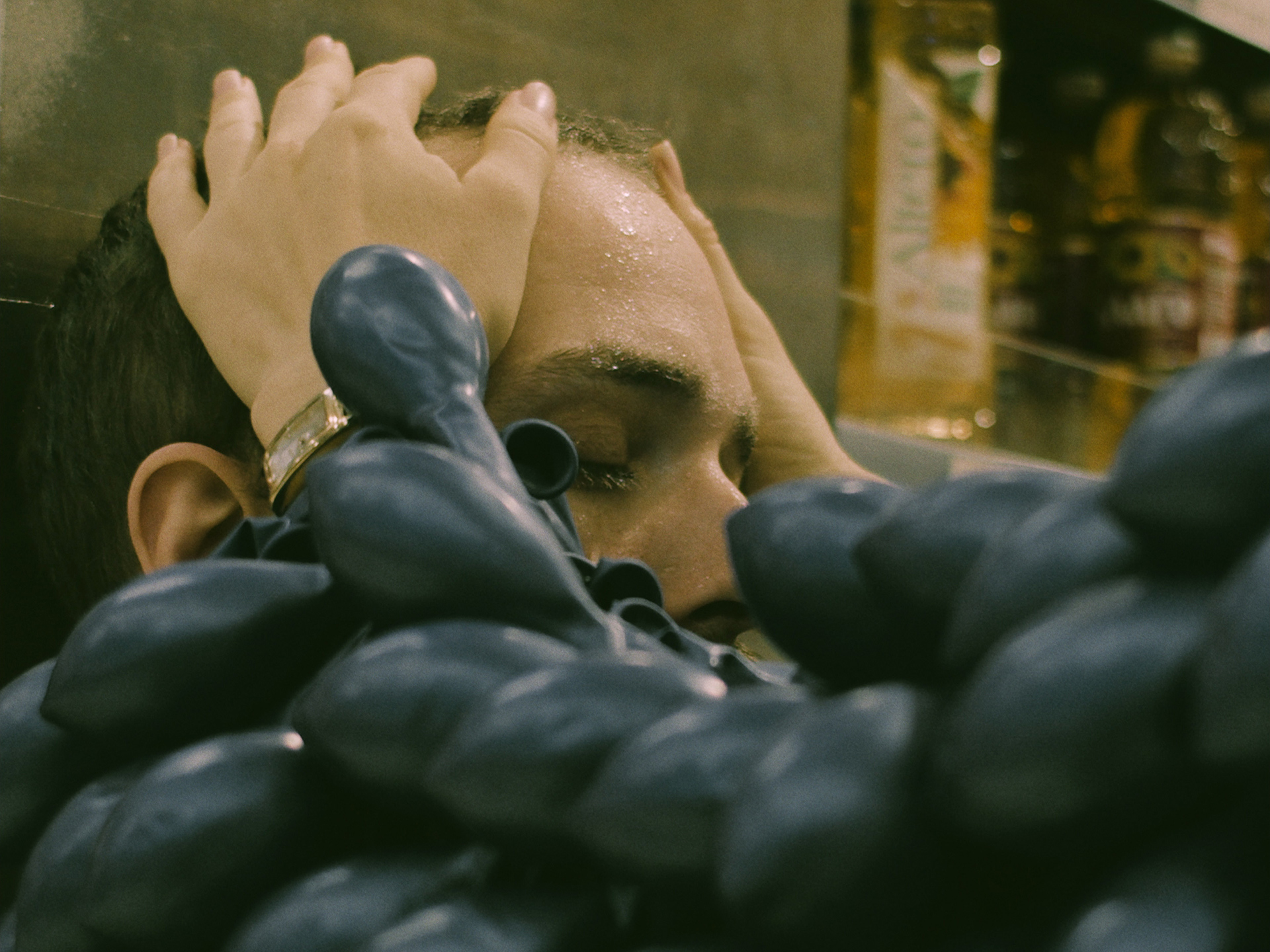 ringelschwandtner stefan