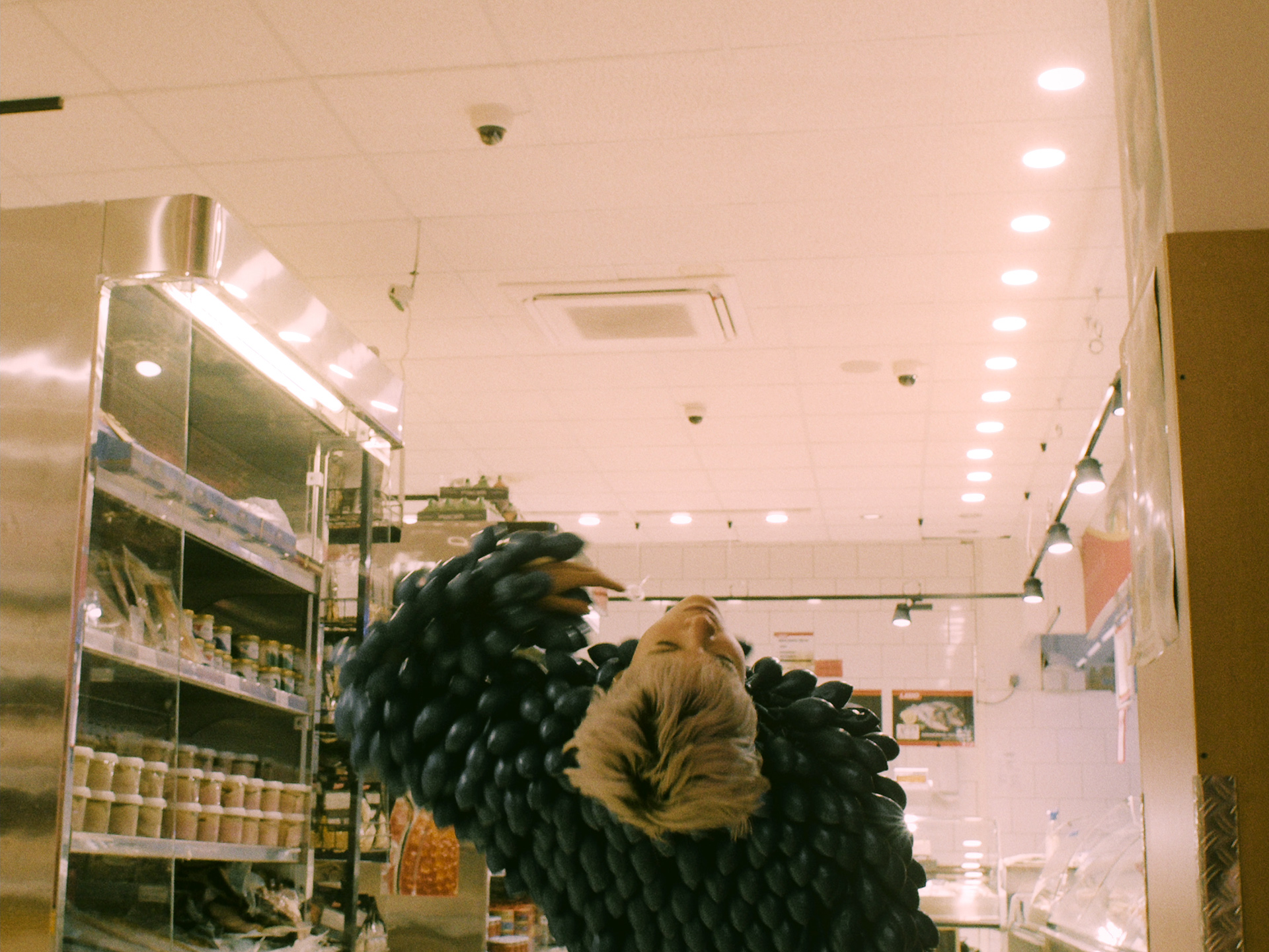 ringelschwandtner stefan