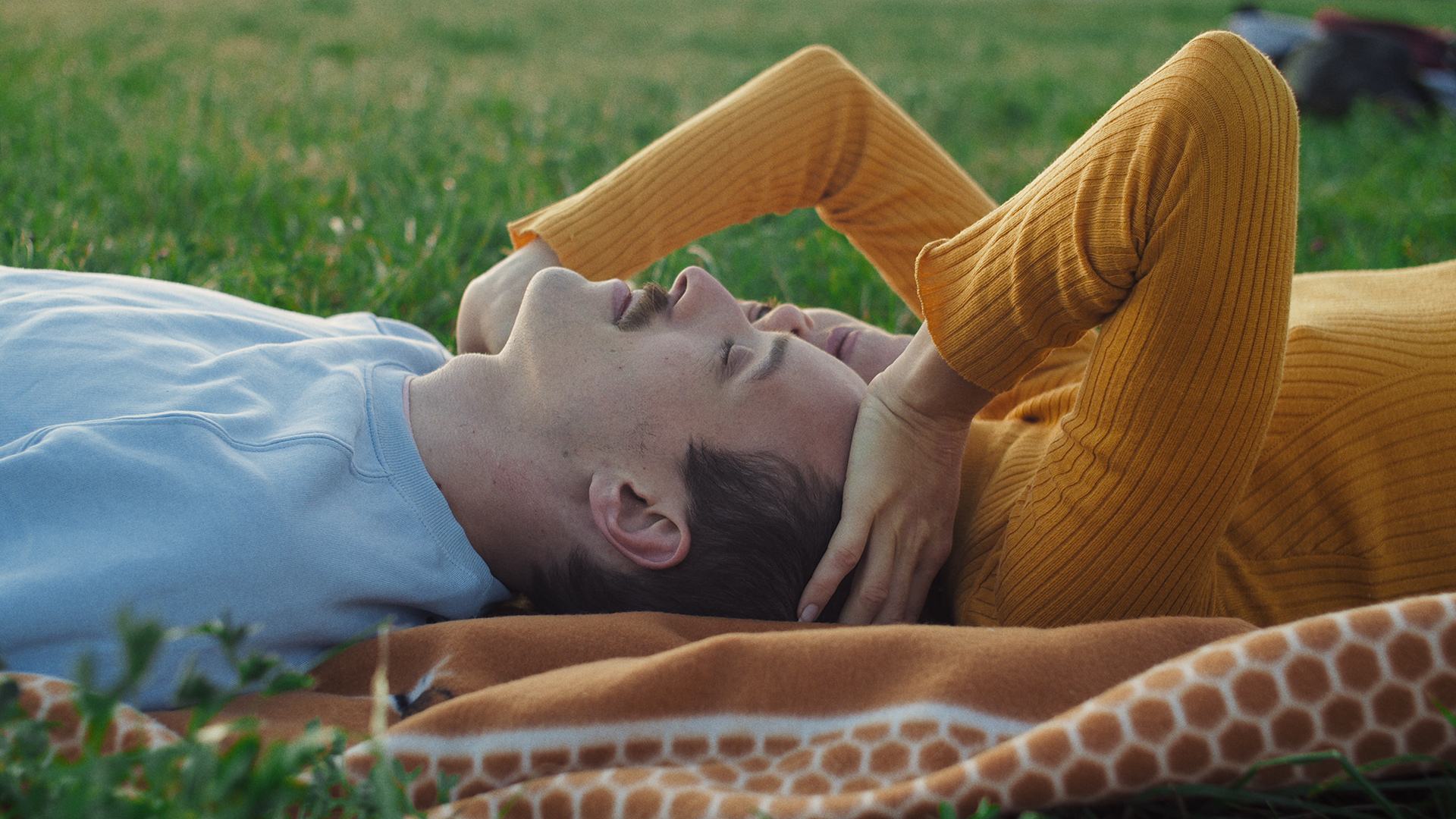 ringelschwandtner stefan