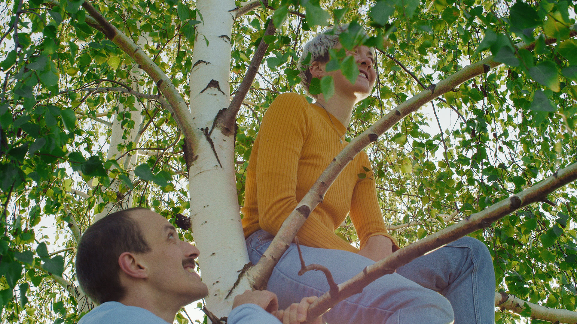 ringelschwandtner stefan