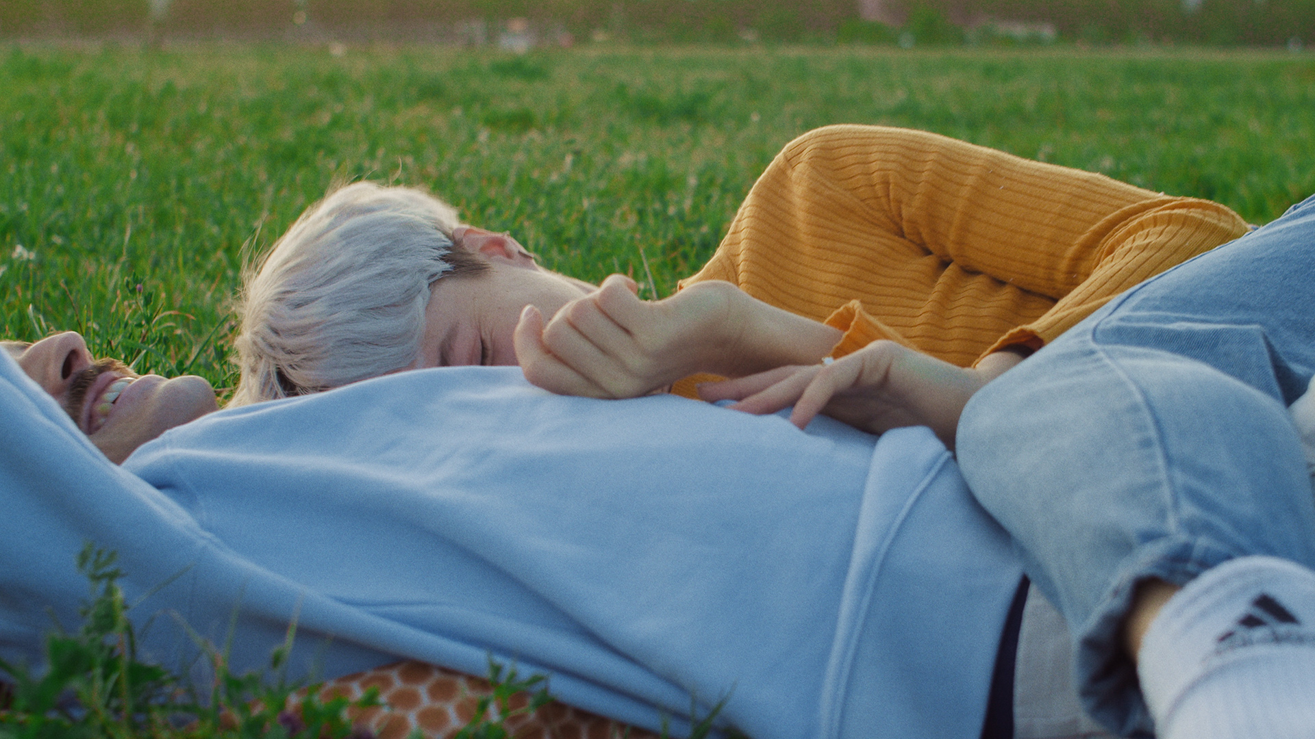 ringelschwandtner stefan