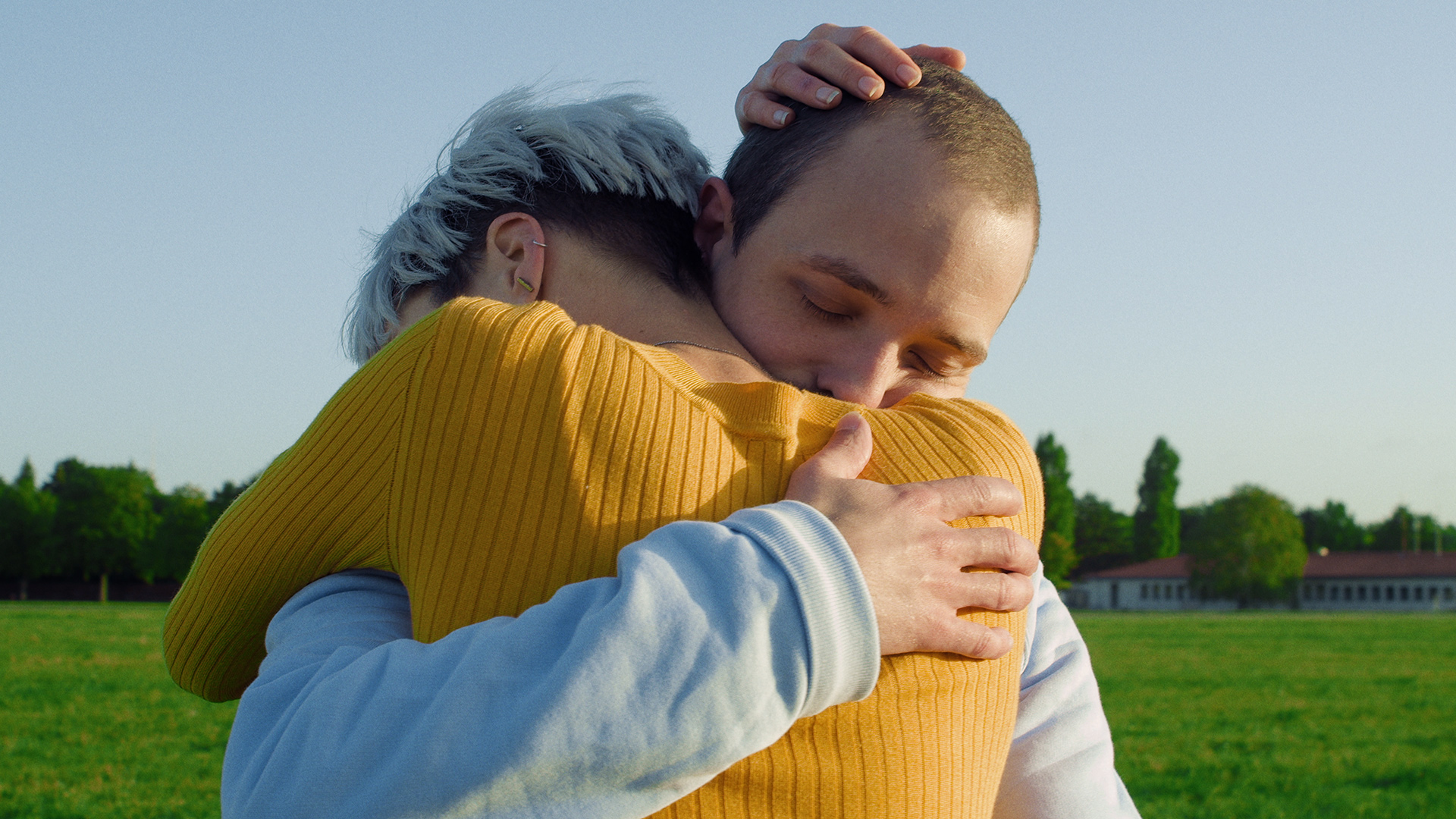 ringelschwandtner stefan