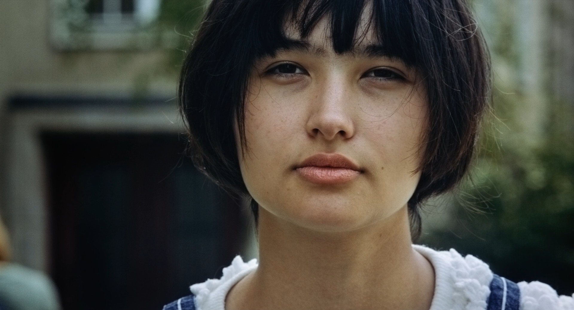 ringelschwandtner stefan