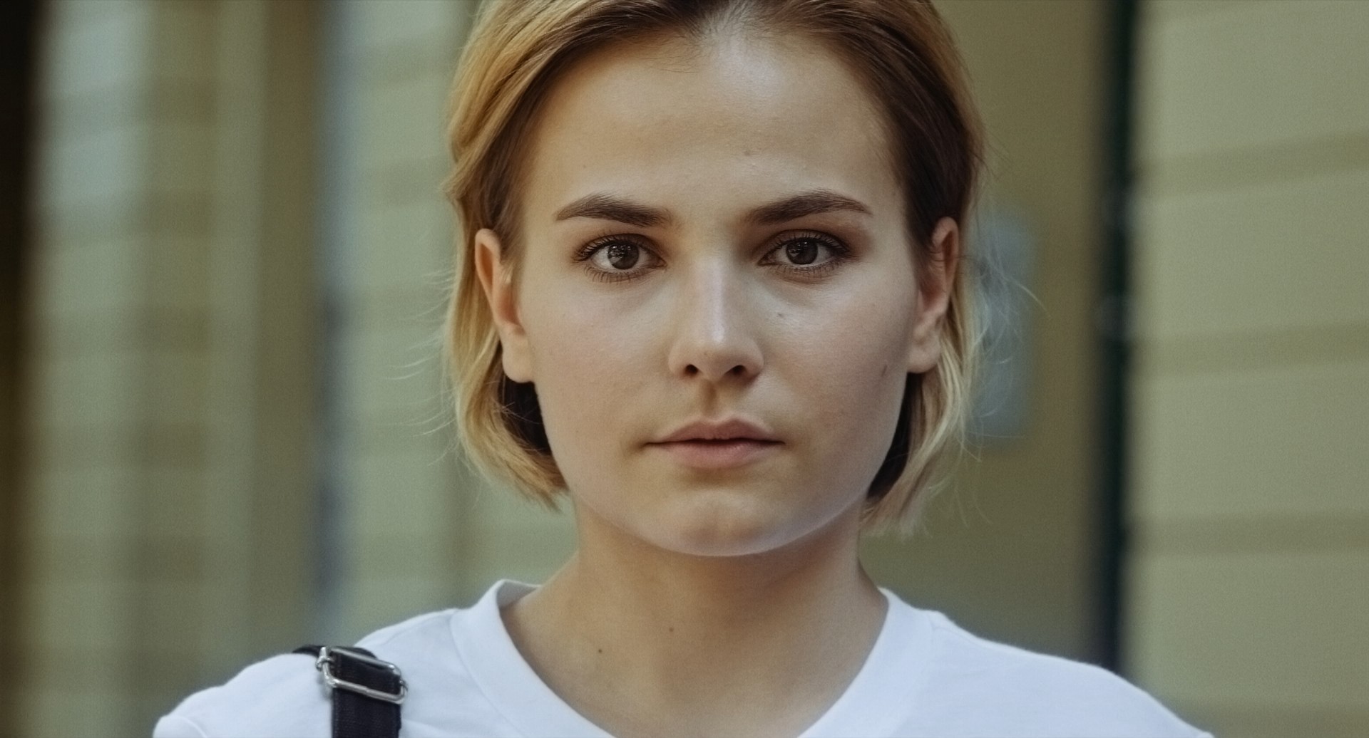 ringelschwandtner stefan