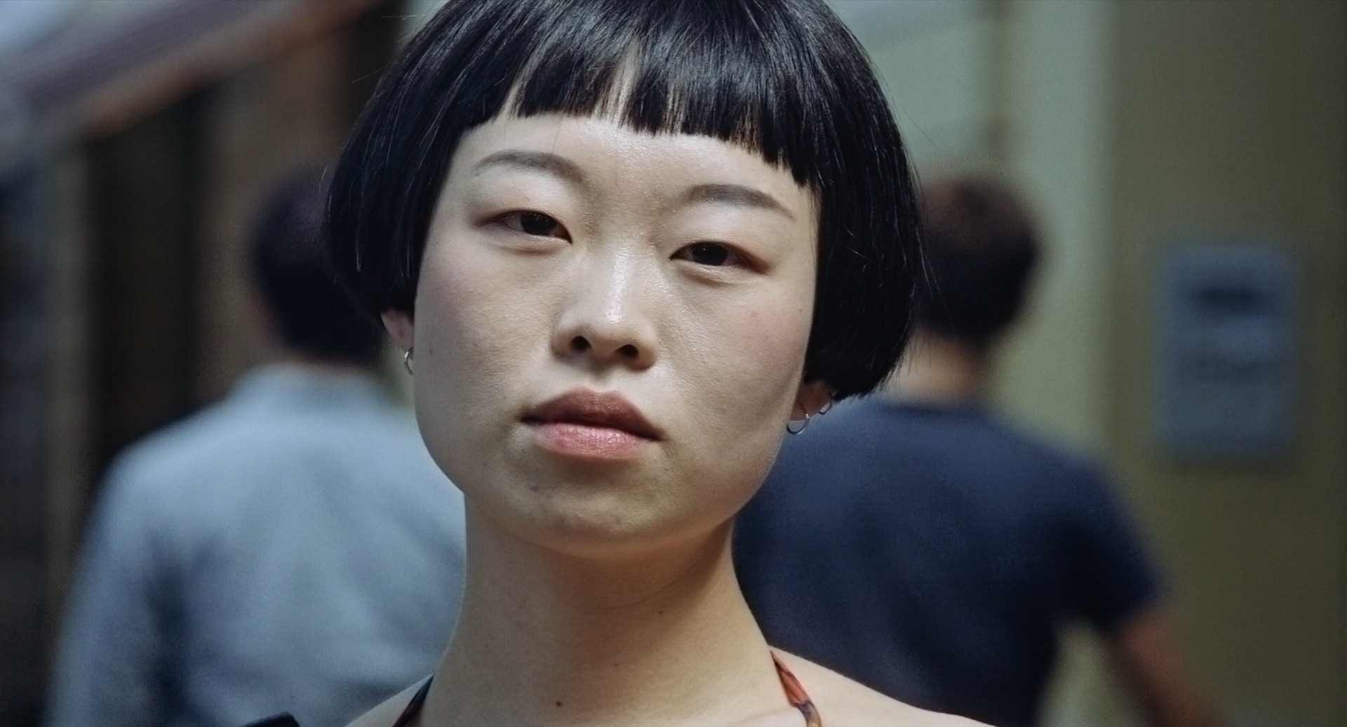 ringelschwandtner stefan