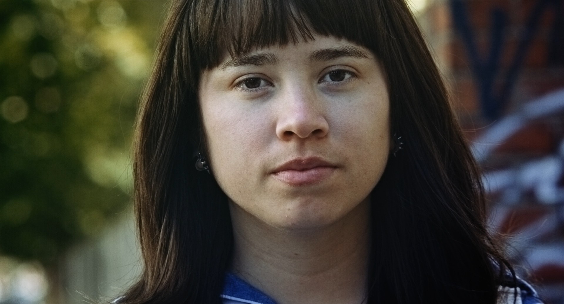 ringelschwandtner stefan