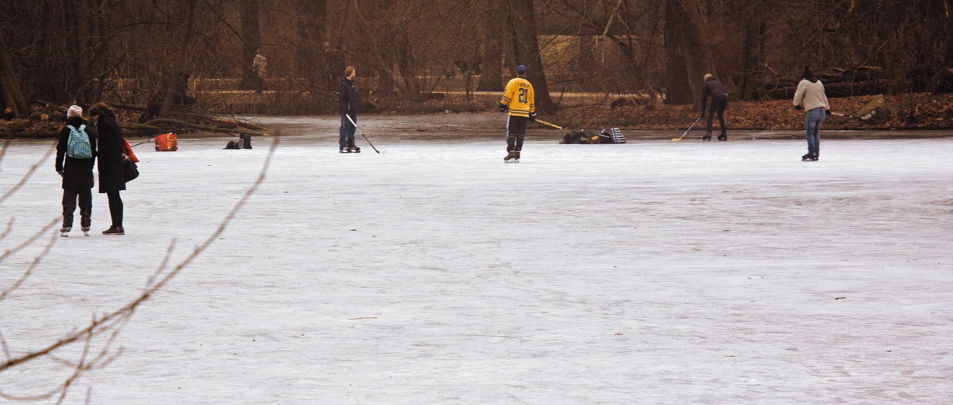 ringelschwandtner stefan
