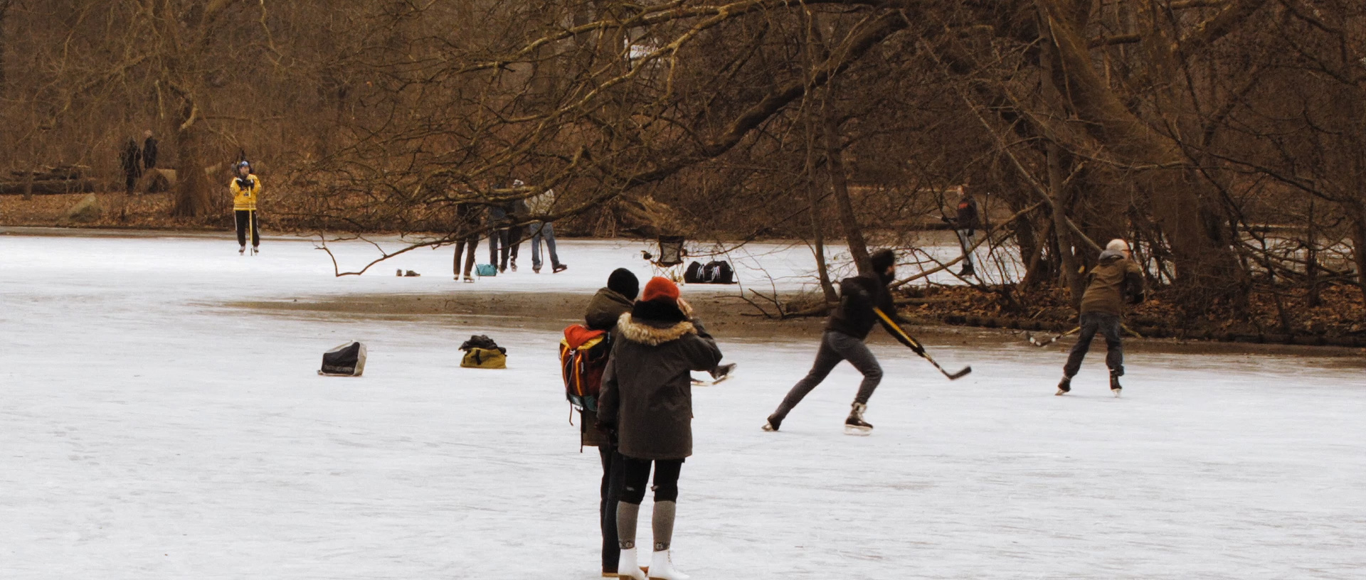 ringelschwandtner stefan